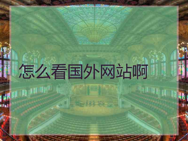 怎么看国外网站啊