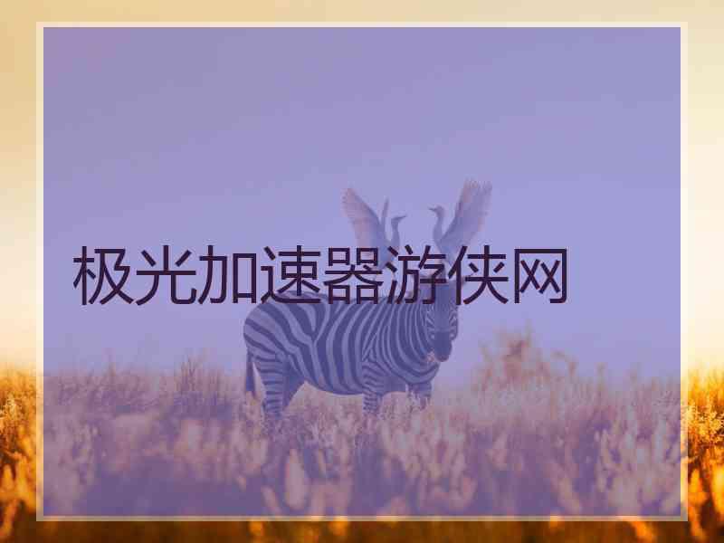 极光加速器游侠网
