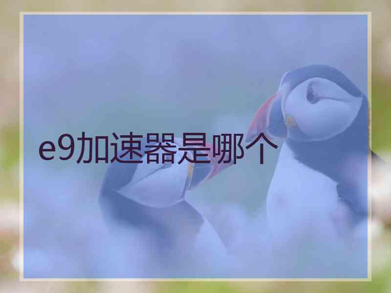 e9加速器是哪个