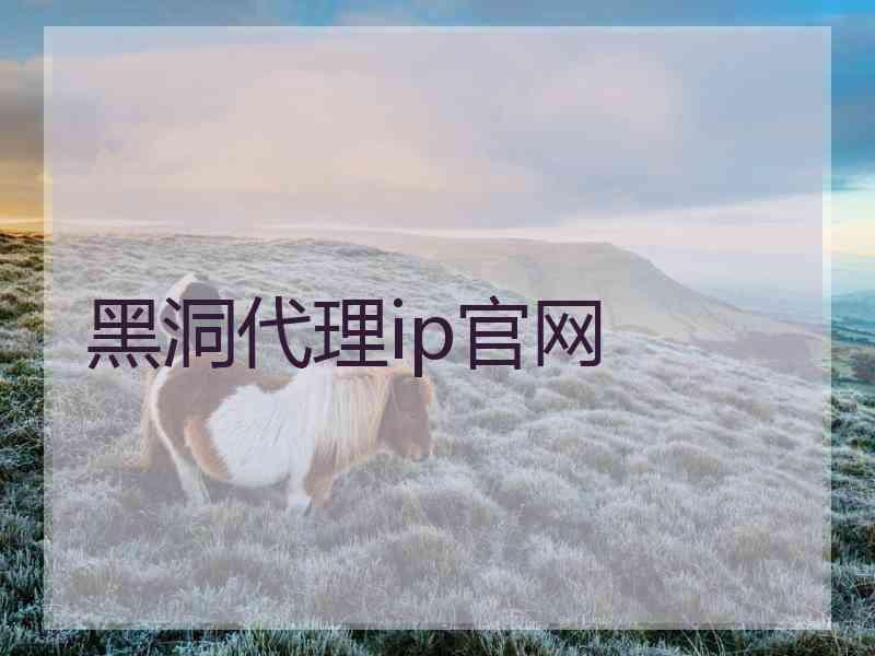 黑洞代理ip官网