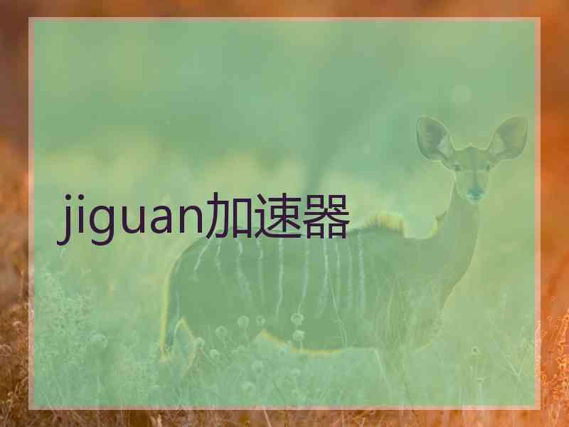 jiguan加速器
