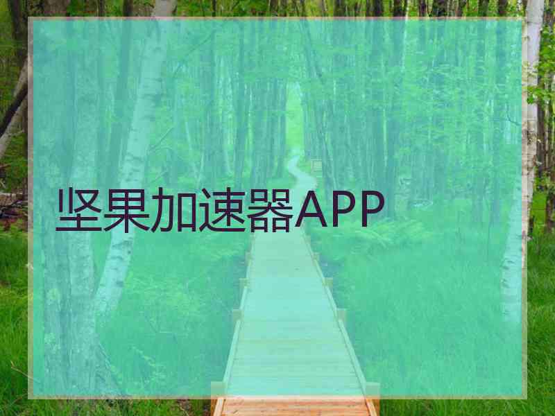 坚果加速器APP