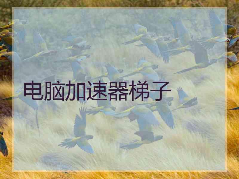 电脑加速器梯子