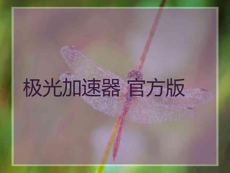 极光加速器 官方版