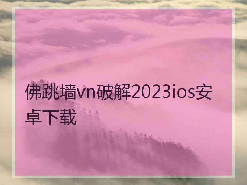 佛跳墙vn破解2023ios安卓下载