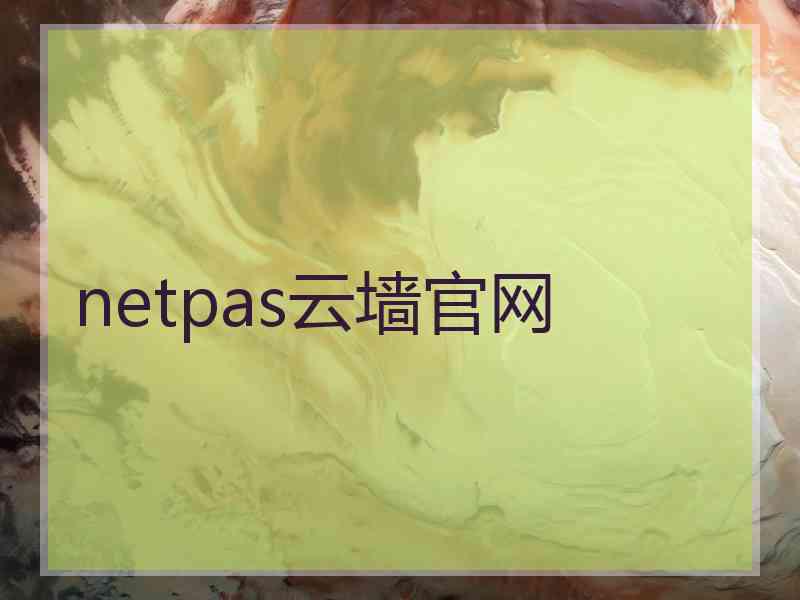 netpas云墙官网