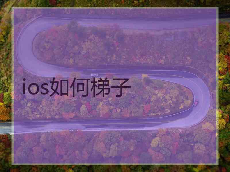 ios如何梯子