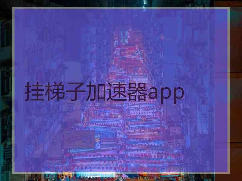 挂梯子加速器app