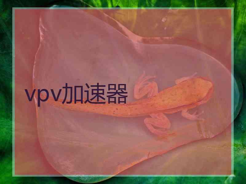 vpv加速器