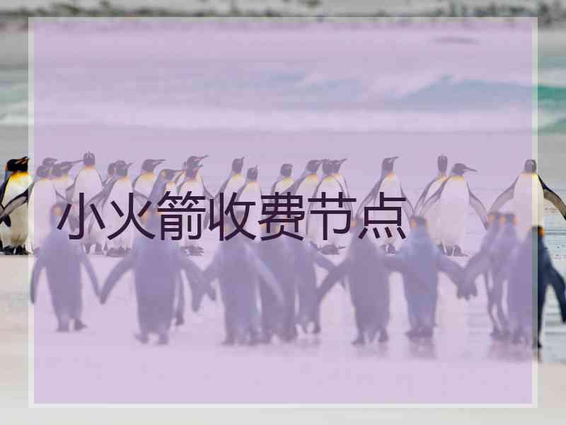 小火箭收费节点