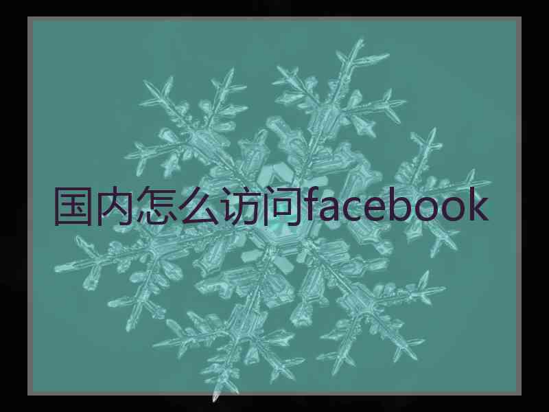 国内怎么访问facebook