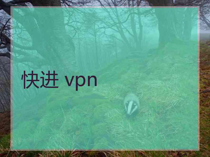快进 vpn