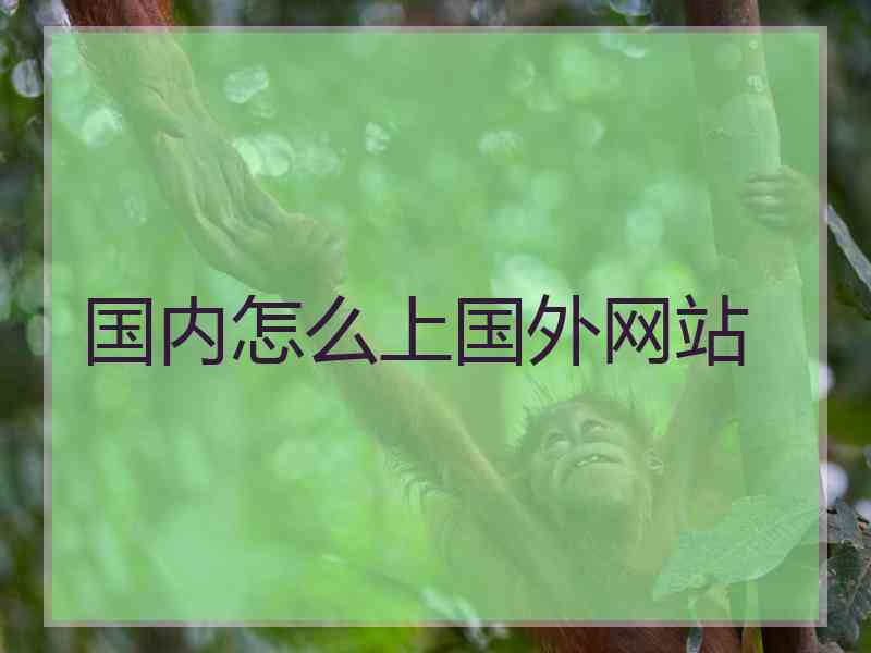 国内怎么上国外网站