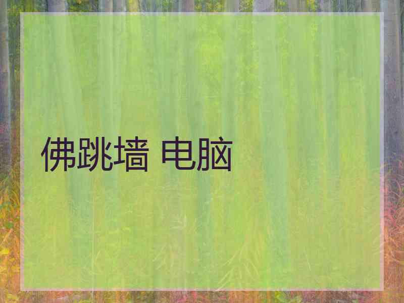 佛跳墙 电脑
