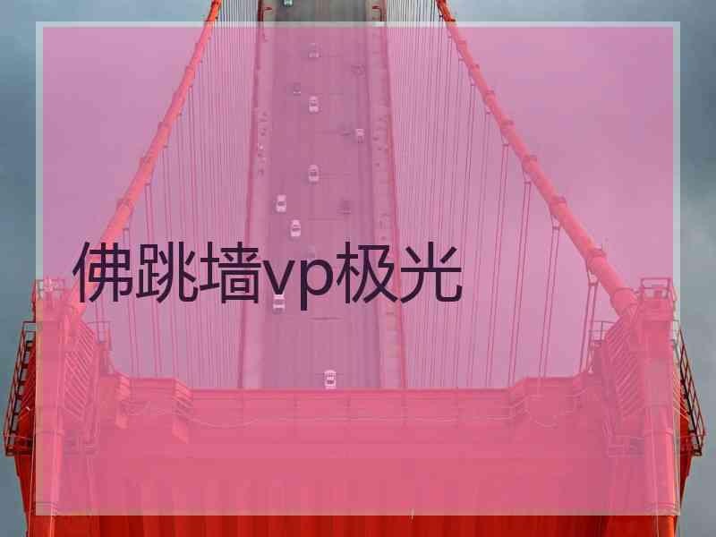 佛跳墙vp极光