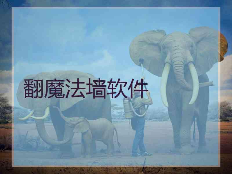 翻魔法墙软件