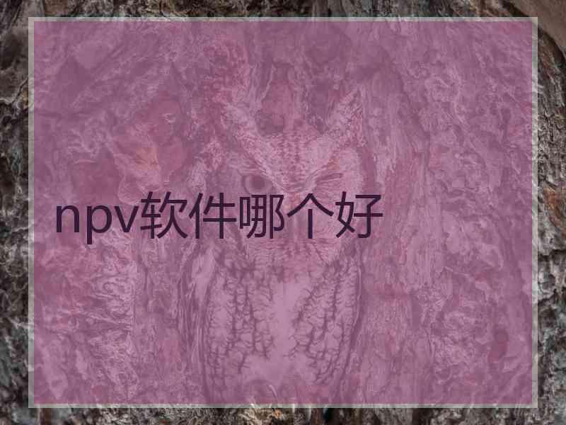 npv软件哪个好