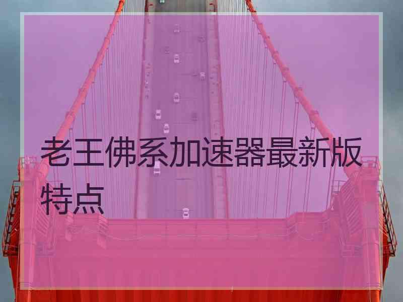 老王佛系加速器最新版特点