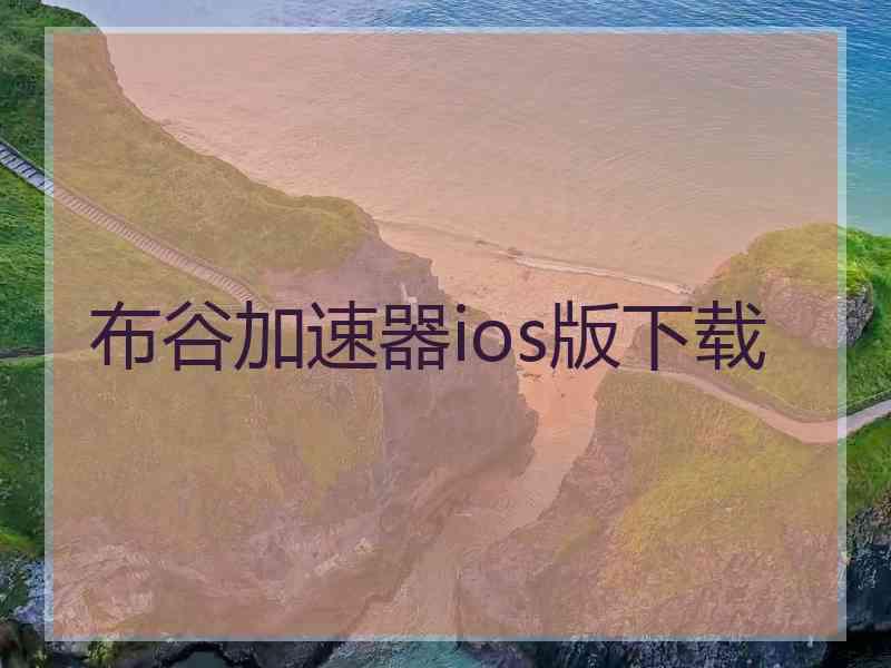 布谷加速器ios版下载