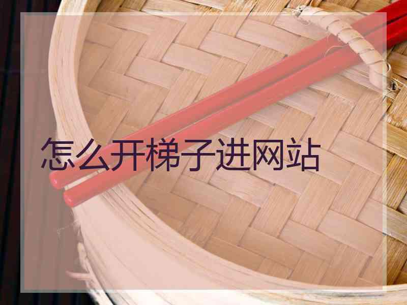 怎么开梯子进网站