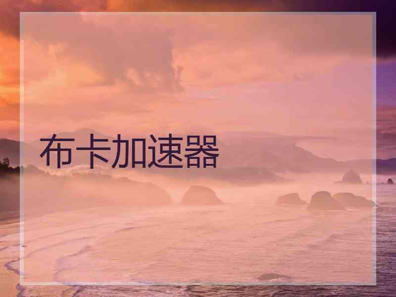 布卡加速器