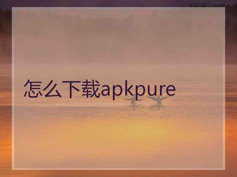 怎么下载apkpure