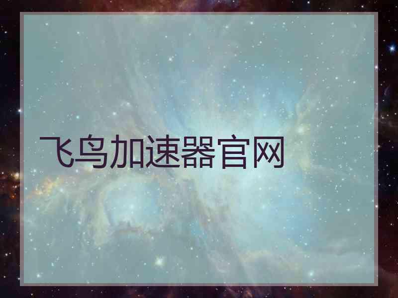 飞鸟加速器官网