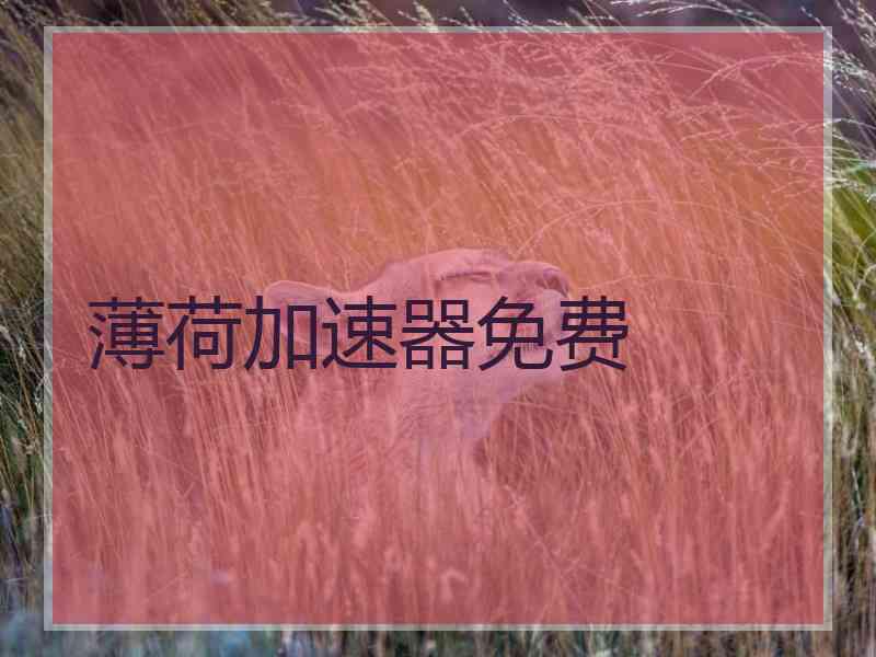 薄荷加速器免费