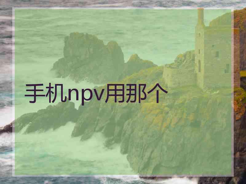 手机npv用那个