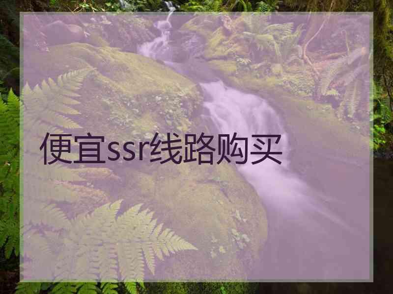 便宜ssr线路购买