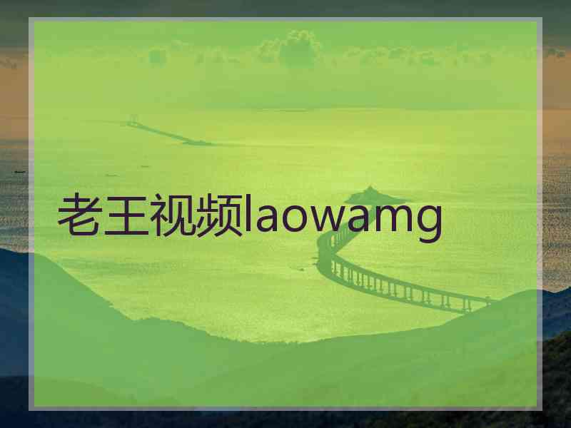 老王视频laowamg