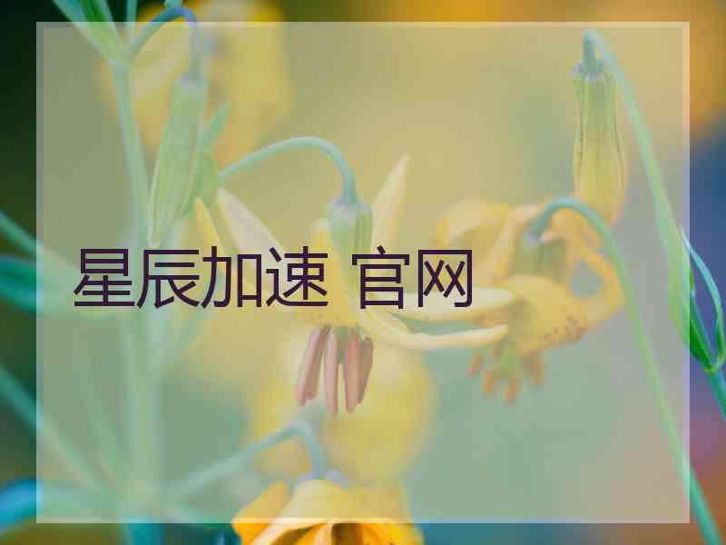星辰加速 官网