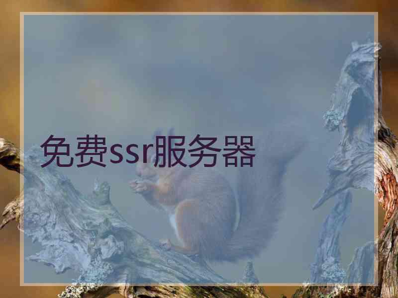免费ssr服务器