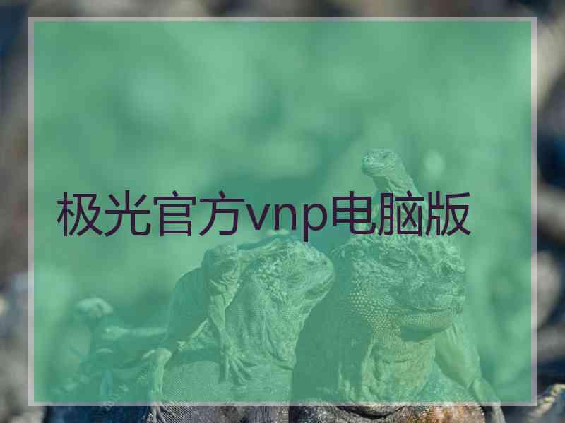 极光官方vnp电脑版