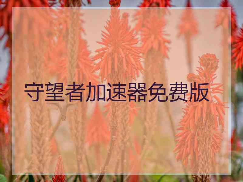 守望者加速器免费版