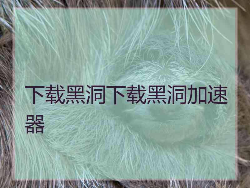 下载黑洞下载黑洞加速器