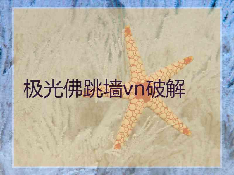 极光佛跳墙vn破解