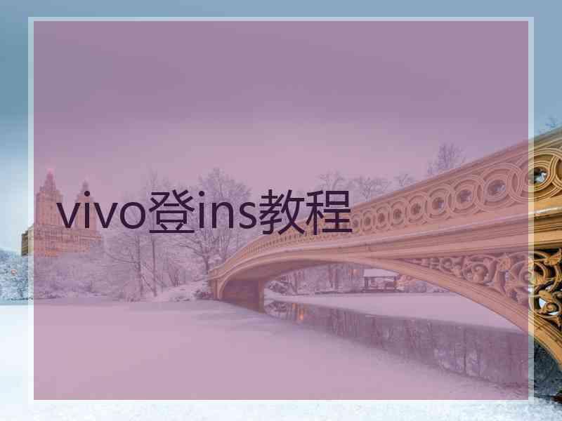vivo登ins教程