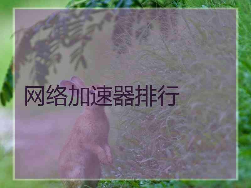 网络加速器排行