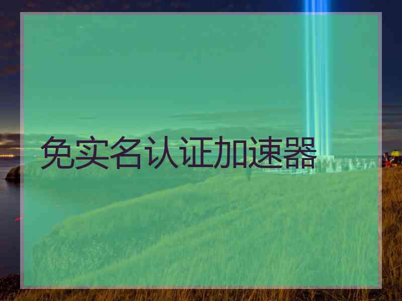 免实名认证加速器