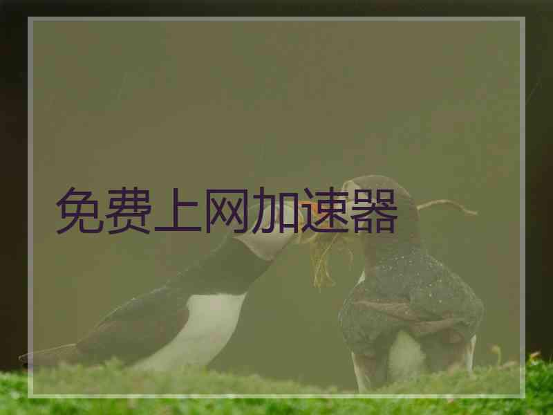 免费上网加速器