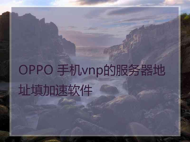 OPPO 手机vnp的服务器地址填加速软件