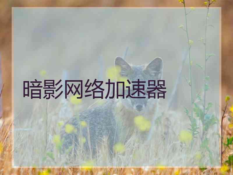 暗影网络加速器