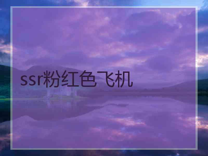 ssr粉红色飞机