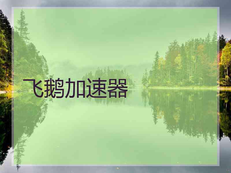 飞鹅加速器
