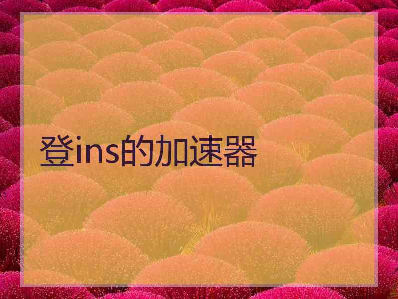登ins的加速器