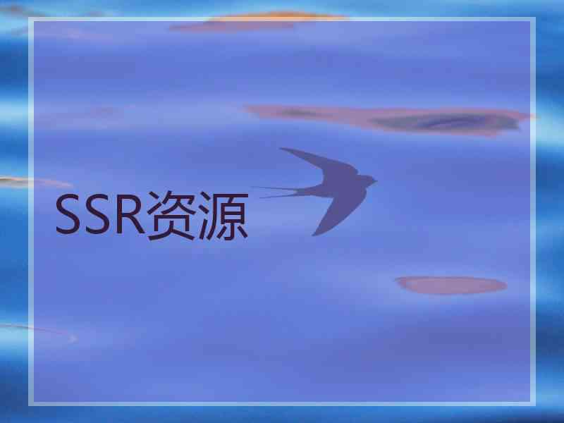 SSR资源