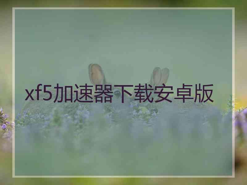 xf5加速器下载安卓版