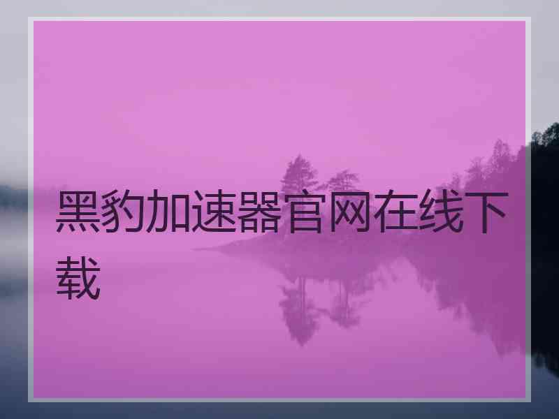 黑豹加速器官网在线下载