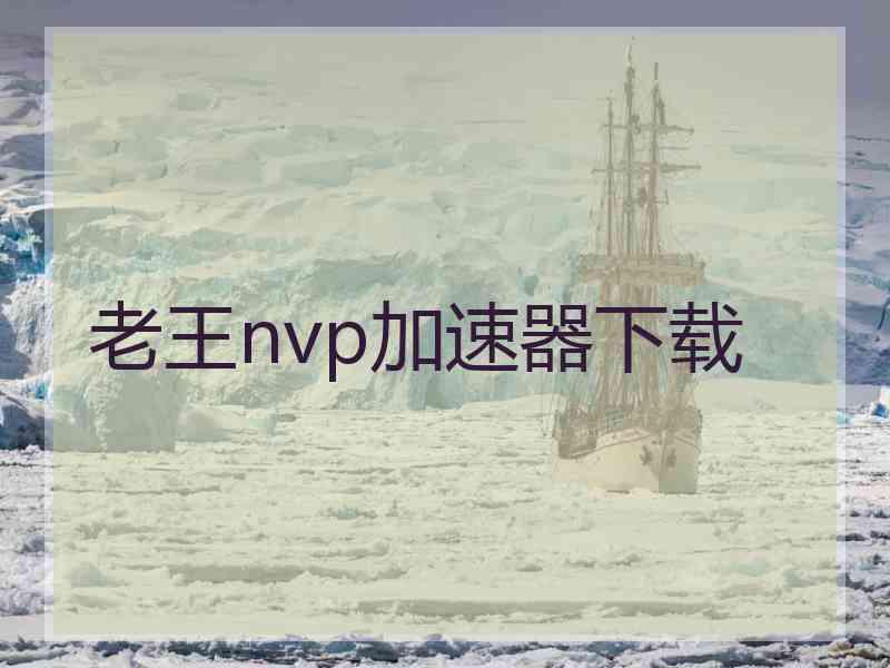 老王nvp加速器下载